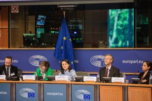 Photo credit: CER/©David Plas